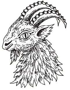 Karnevalsverein Stromberg Logo